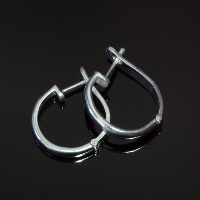 Latch Back Earrings